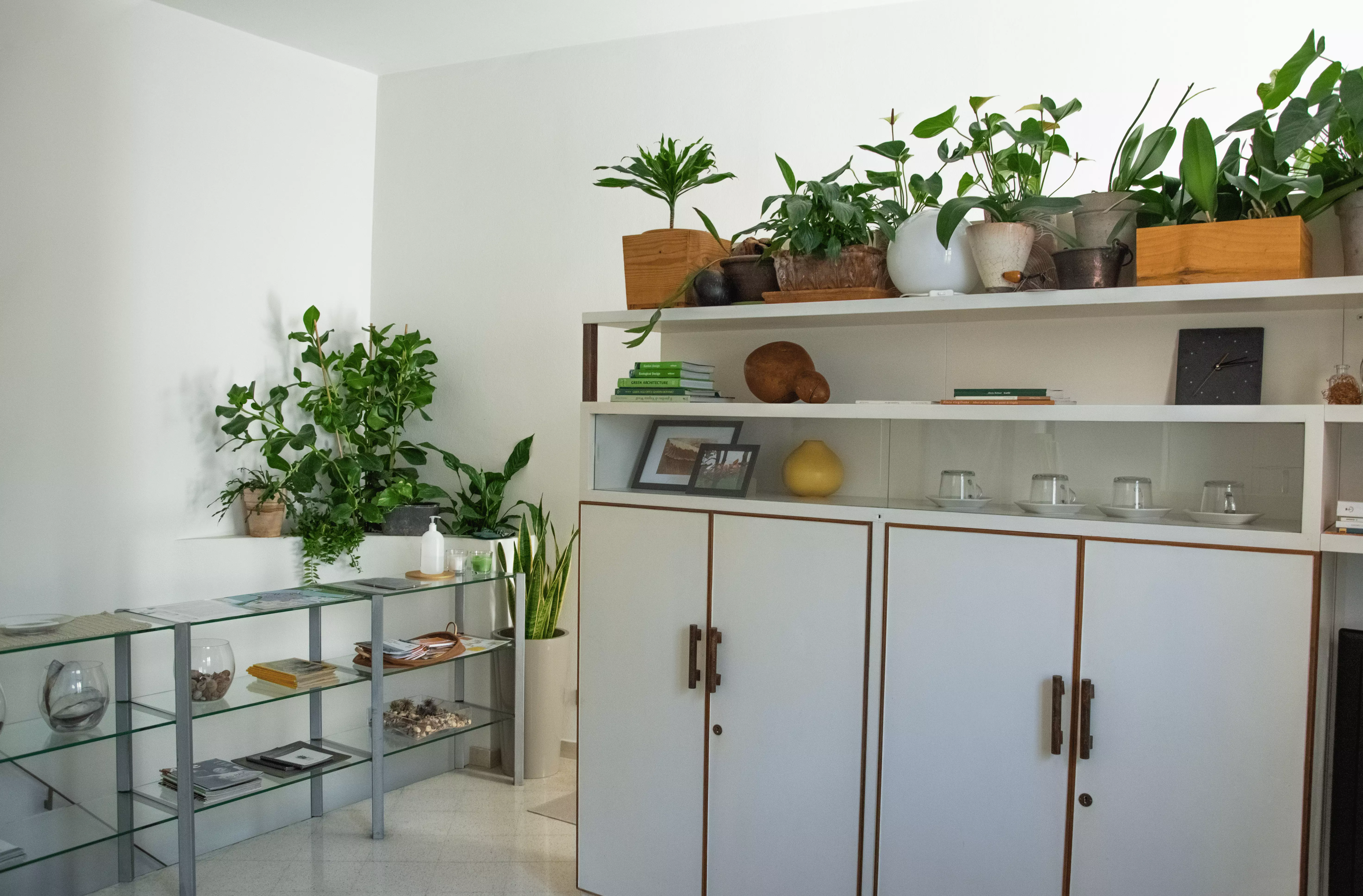 living room toward inside